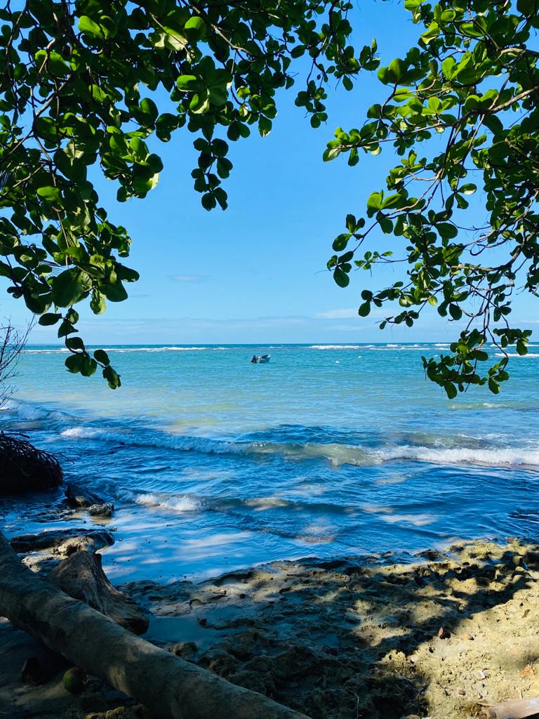 costa rica, cahuita